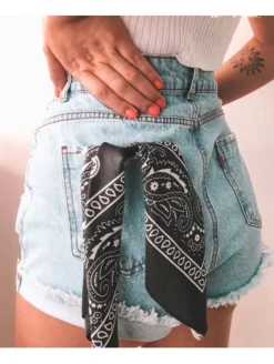 Pañuelo tipo bandana dibujo cachemire Texas